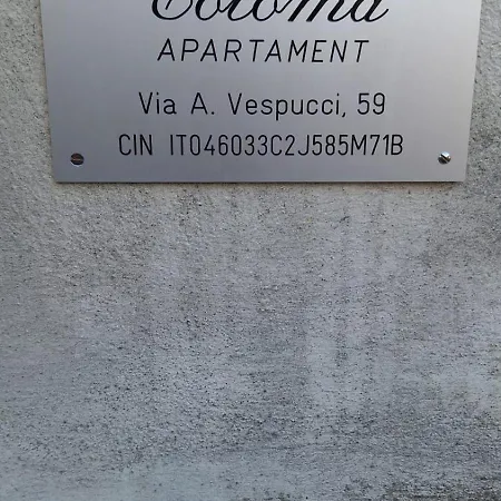 Toloma * Viareggio
