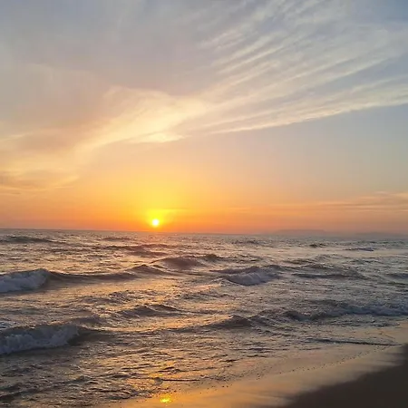 Toloma Viareggio