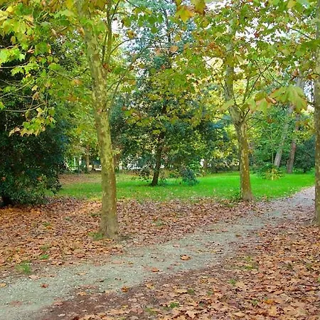 Toloma Lejlighed Viareggio