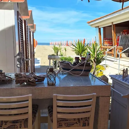 Toloma * Viareggio